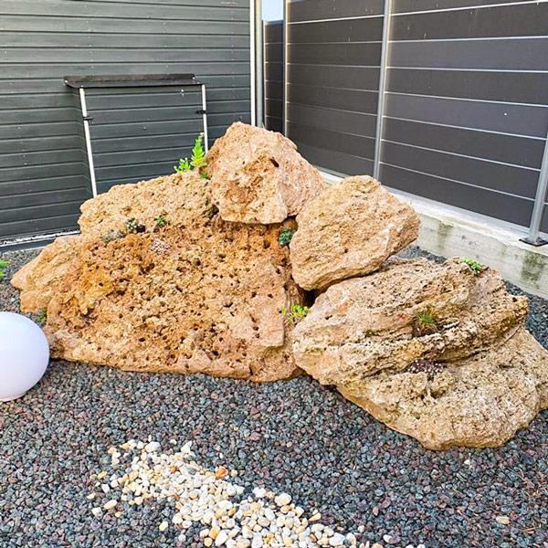 Anwendungsbeispiel Bild 1